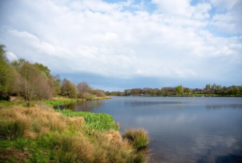 Sutton Park 600x403